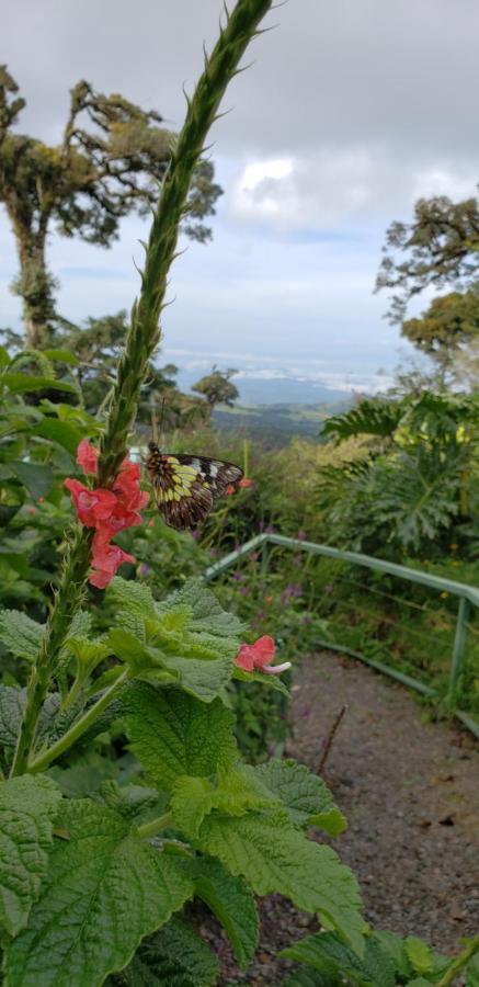 Casa El Granero Monteverde Eksteriør bilde