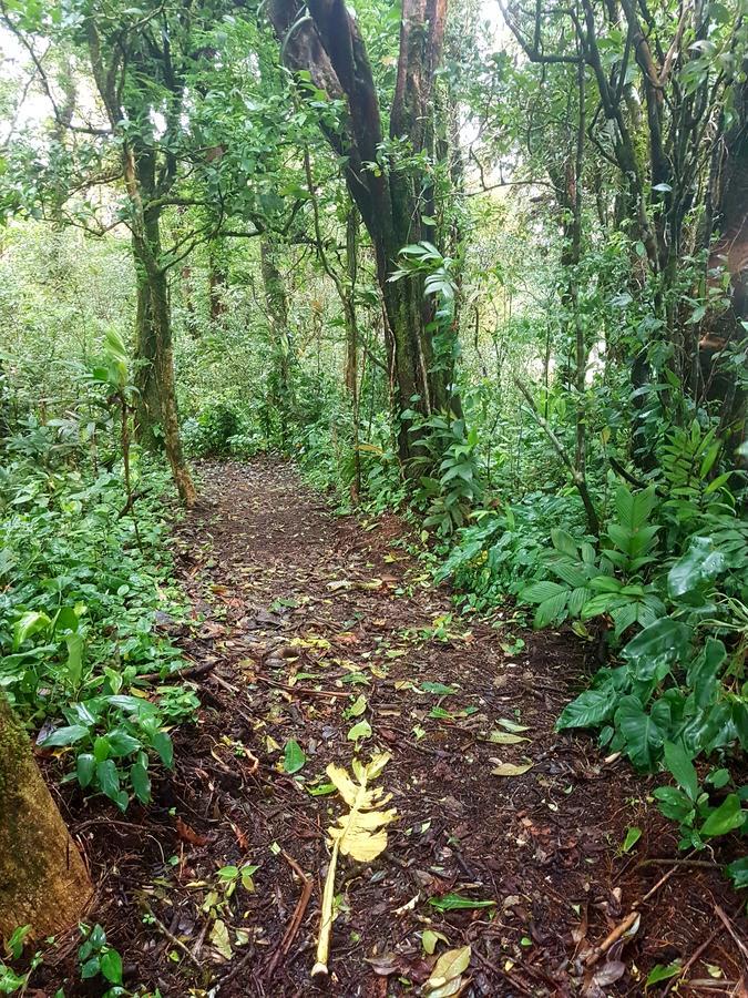 Casa El Granero Monteverde Eksteriør bilde
